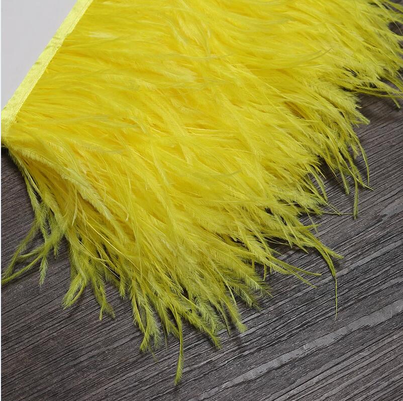 13-18CM 6M 타조 깃털 트림 천 벨트 바느질 D - Feather Trim Marabou 리뷰 및 가격